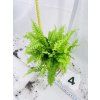 BLUE BELL FERN