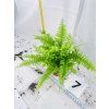 BLUE BELL FERN