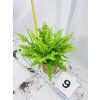 BLUE BELL FERN