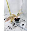 AGLAONEMA PRESTIGE