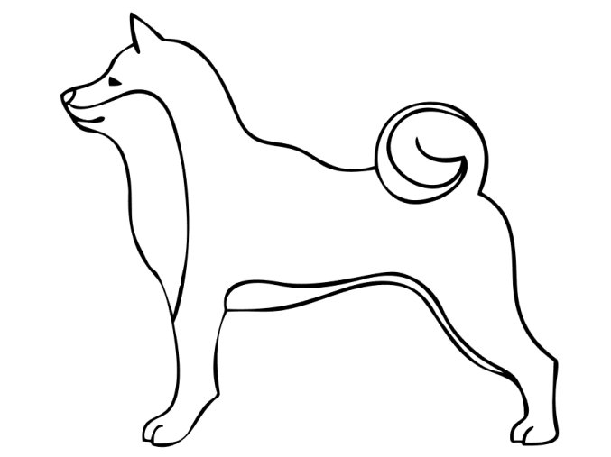 shiba inu