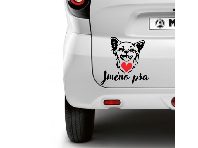čivava samolepka na auto