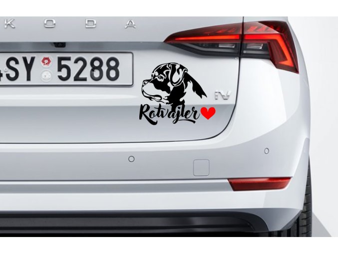 RTW samolepka na auto