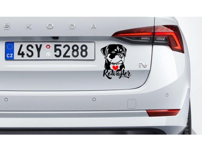 RTW samolepka na auto love