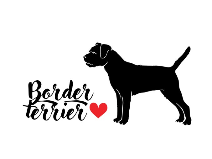 Border terrier samolepka 33