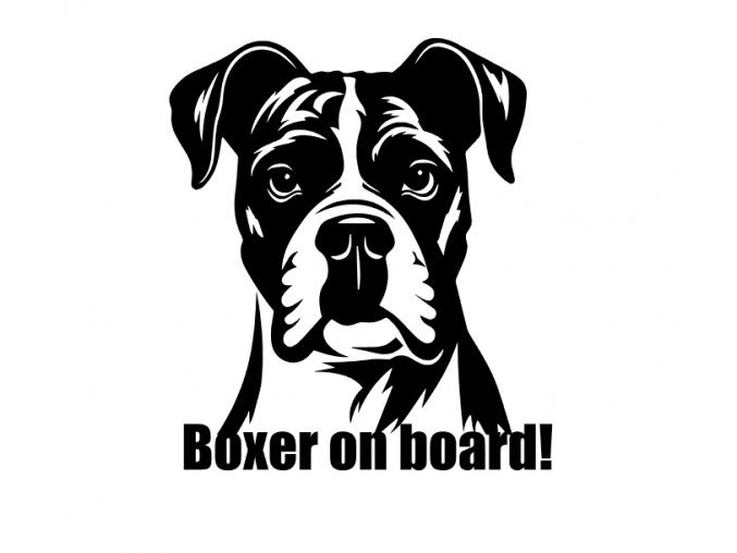 Boxer on board samolekpa baxera