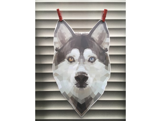 nálepka husky, samolepka sibiřský husky, husky nálepka
