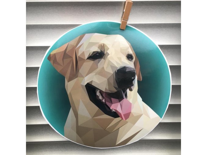 labrador