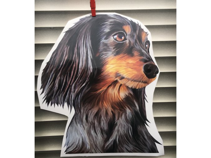 jezevčík, dlouhosrstý jezevčík 