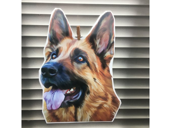 Německý ovčák 