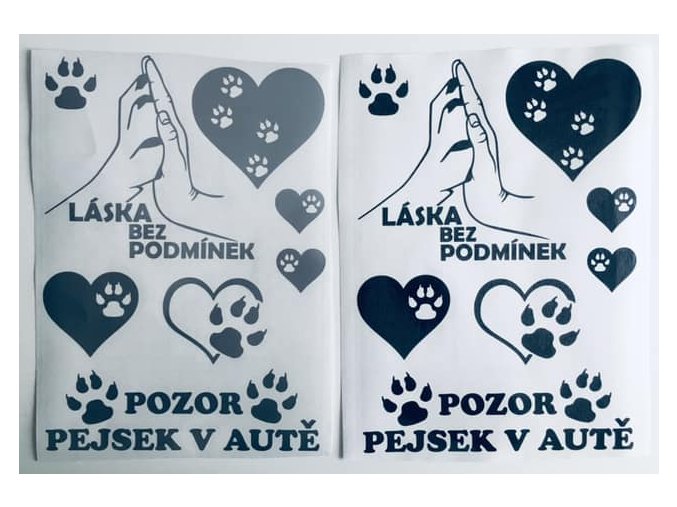 laska stříbrna