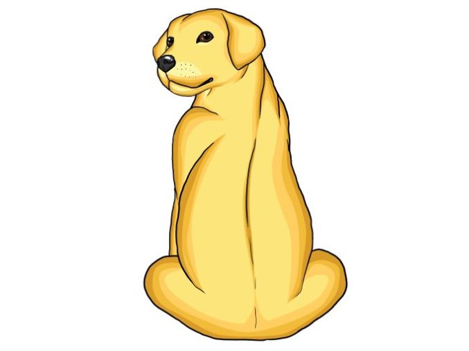 LABRADORSKÝ RETRÍVR světlý
