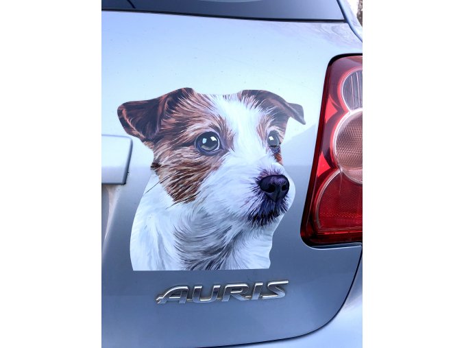 JRT 3