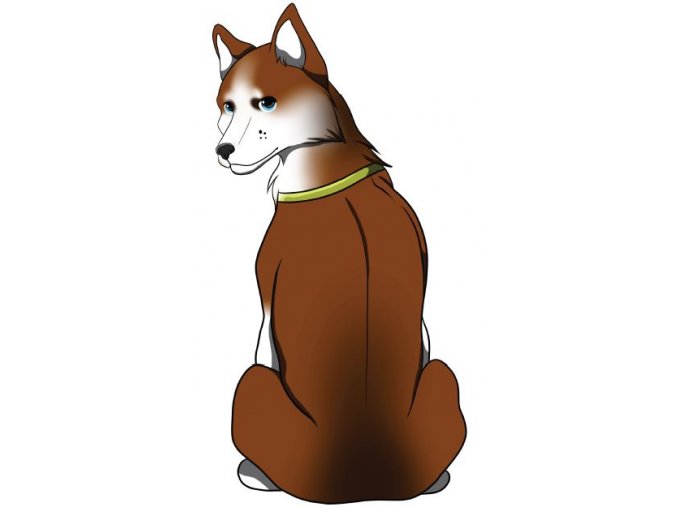 SIBIŘSKÝ HUSKY hnědý