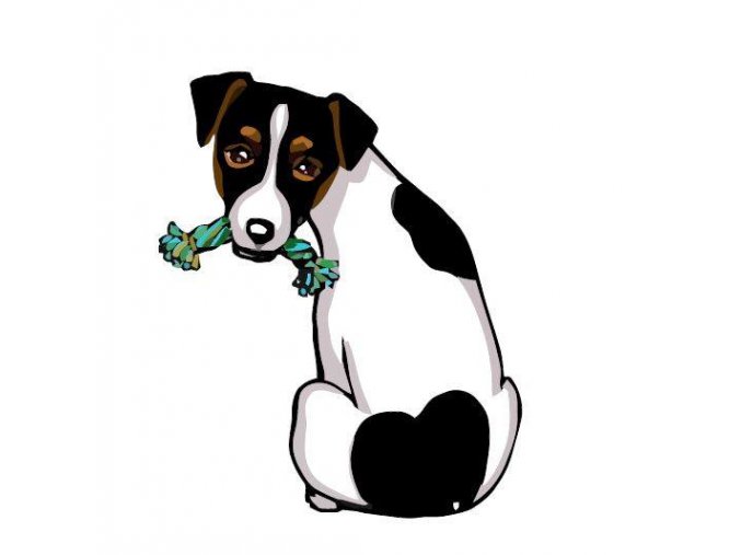 JACK RUSSEL TERIER var.1