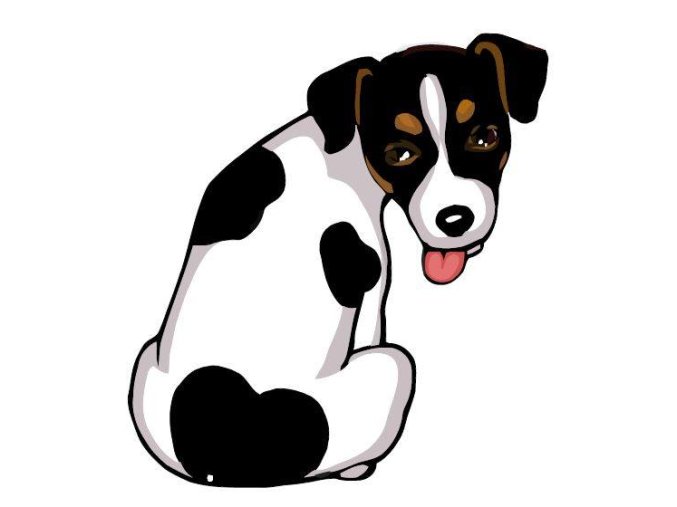 JACK RUSSEL TERIER var.2