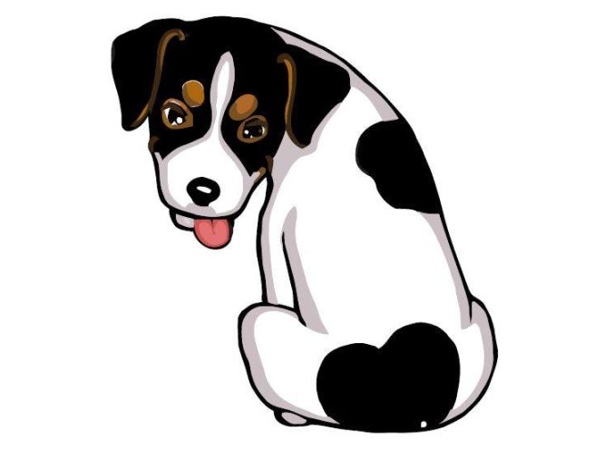 JACK RUSSEL TERIER var.4