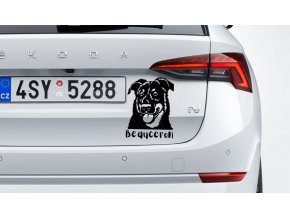 samolepka na auto bauceron