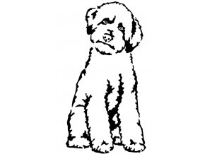 Samolepka Lagotto Romagnolo