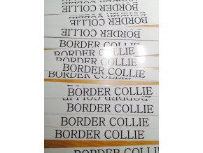 BORDER KOLIE