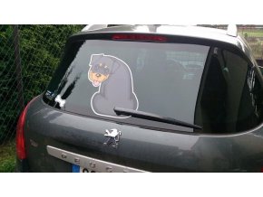 ROTVAJLER