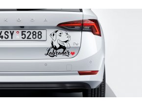 samolepka labradora