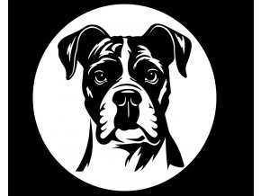 samolepka boxer
