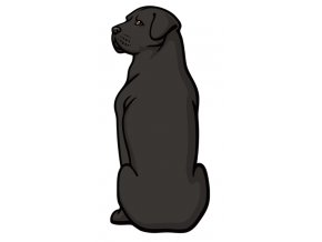 Cane Corso, samolepka cane corso, nálepka cane corso černý