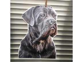 cane corso