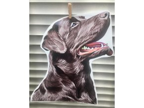 Labrador Hlava