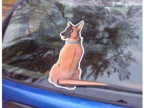 BELGICKÝ OVČÁK MALINOIS