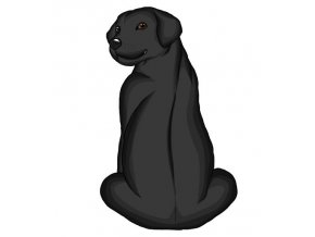 LABRADORSKÝ RETRÍVR černý