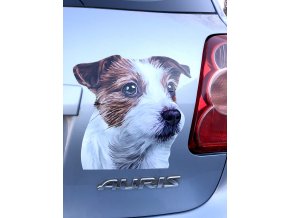 JRT 3