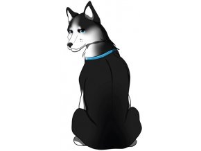SIBIŘSKÝ HUSKY černý