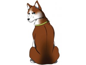 SIBIŘSKÝ HUSKY hnědý