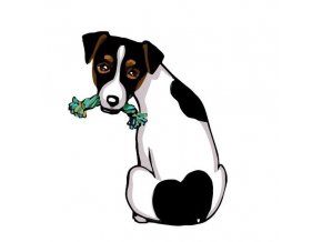 JACK RUSSEL TERIER var.1