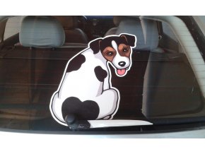 JACK RUSSEL TERIER var. 3