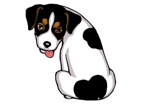 JACK RUSSEL TERIER var.4