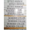 BORDER KOLIE