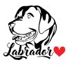Samolepka labradora