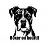 Boxer on board samolekpa baxera