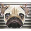 mops