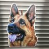 Německý ovčák 
