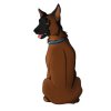 BELGICKÝ OVČÁK MALINOIS