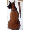 BELGICKÝ OVČÁK MALINOIS