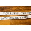 JACK RUSSEL TERIER