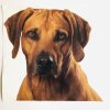 RHODÉSKÝ RIDGEBACK