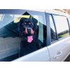 rottweiler, barevná samolepka rotvajler
