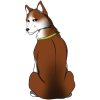 SIBIŘSKÝ HUSKY hnědý