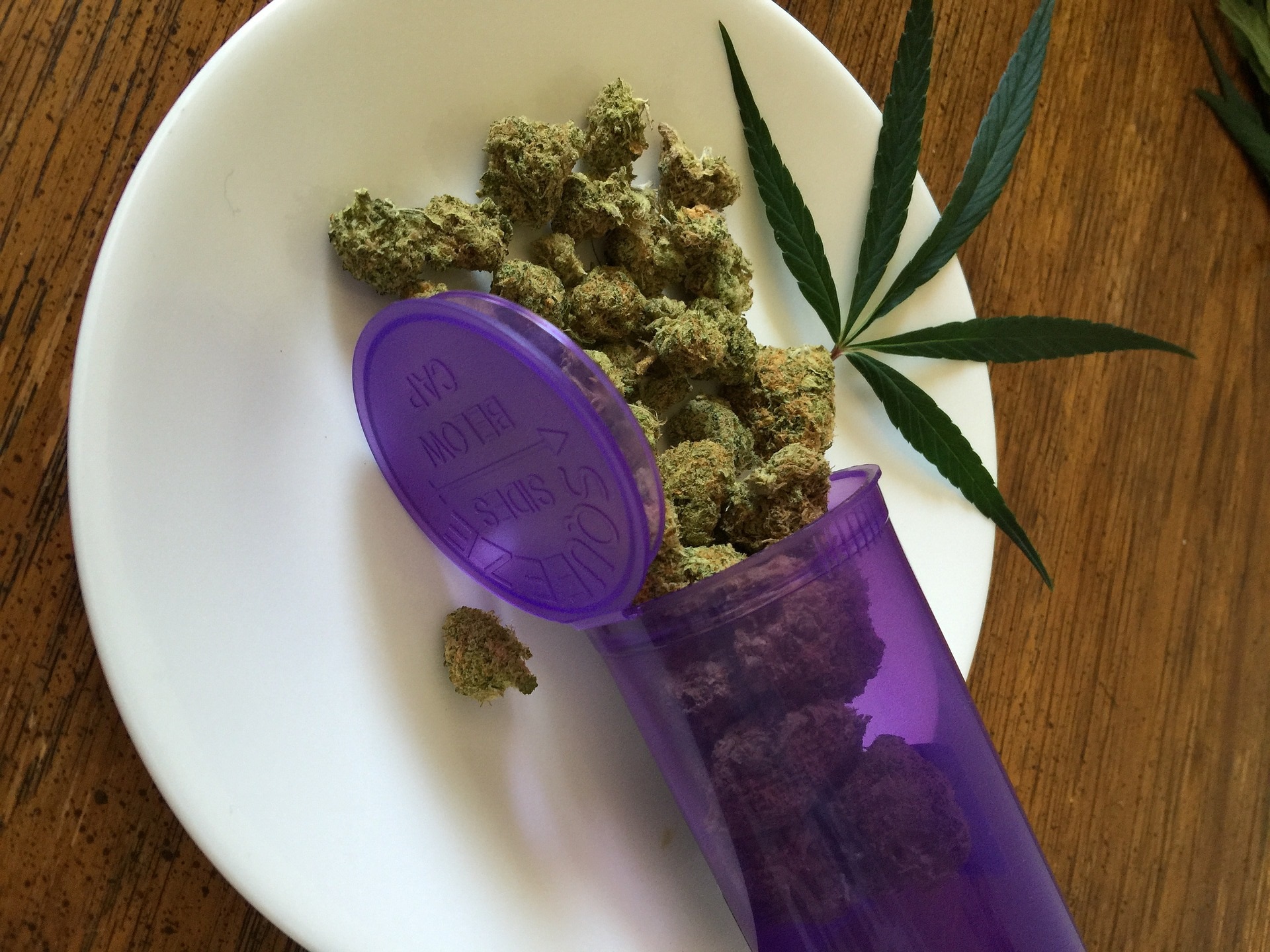 Co způsobuje degradaci THC a ostatních kanabinoidů